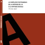 Complexe d’Ozymandias : pour une critique sociale de l’IA