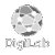 logo-digilab-NB-03.png